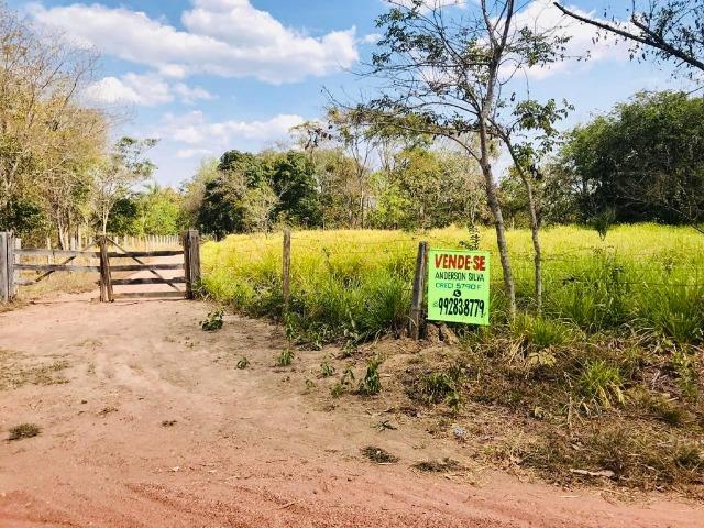 Vendo Chácara no Distrito de Santa Antonio (agende sua visita) Aceito Troca em imovel - Foto 14