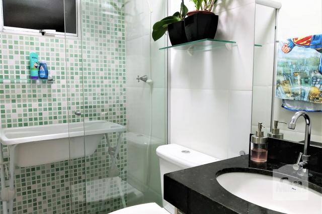 Apartamento à venda com 3 dormitórios em Salgado filho, Belo horizonte cod:258053 - Foto 11