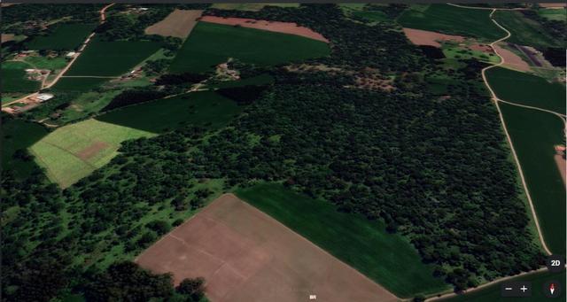 Vendo terreno na localidade da Serrinha em Irineópolis - Foto 12