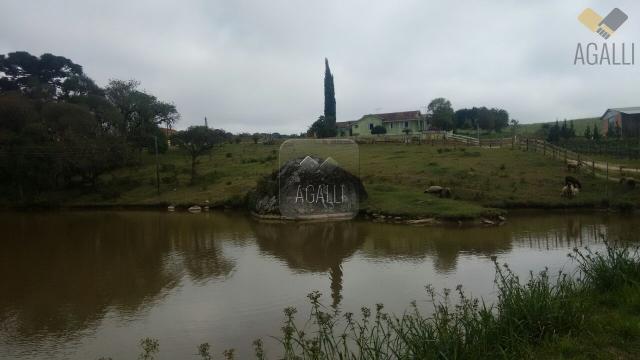 Chácara à venda com 4 dormitórios em Zona rural, Contenda cod:219-16