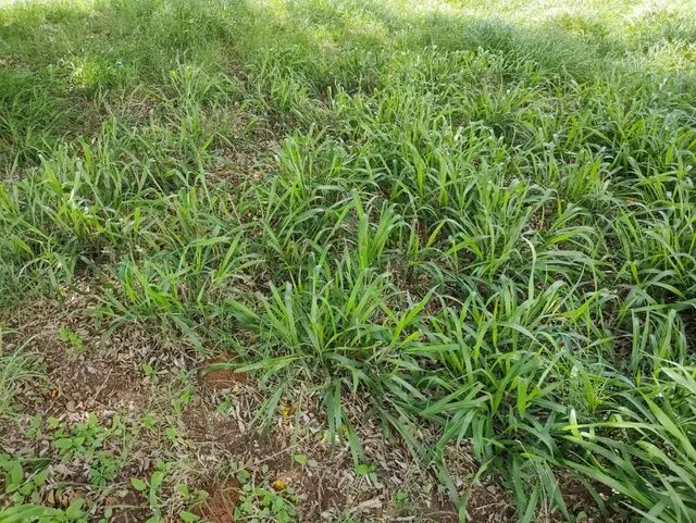 Fazenda em Rui Barbosa 