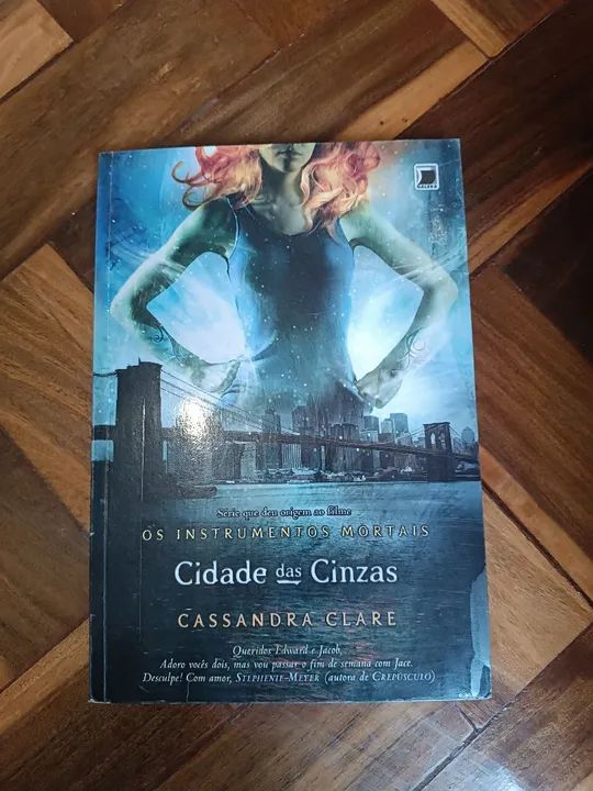 Livro cidade das cinzas 