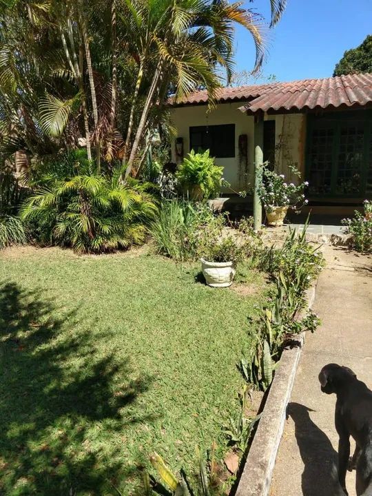 Chácara DF 2 hectares Café sem troco - Foto 4