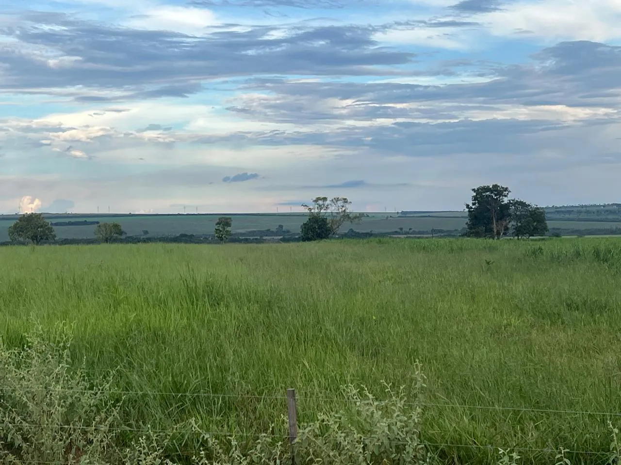 FAZENDA COM 5.591 HÁ DUPLA APTIDÃO NA REGIÃO DE PARAISO DAS AGUAS MS