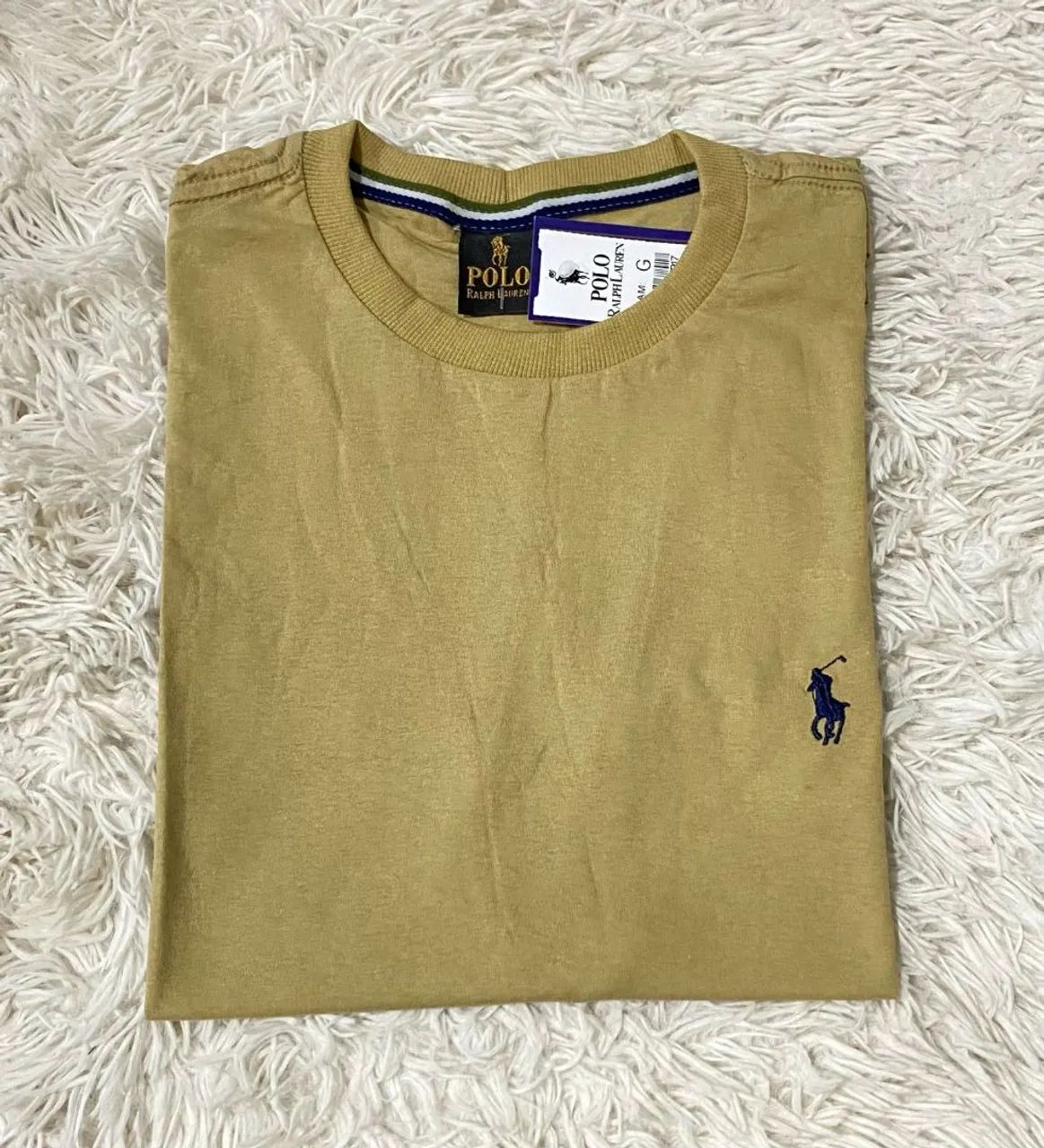 Camisetas Tam G Básicas G 