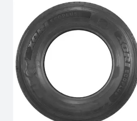 PNEU ECOPLUS 295/80 R22,5 + RODA XBRI 22,5X8,25