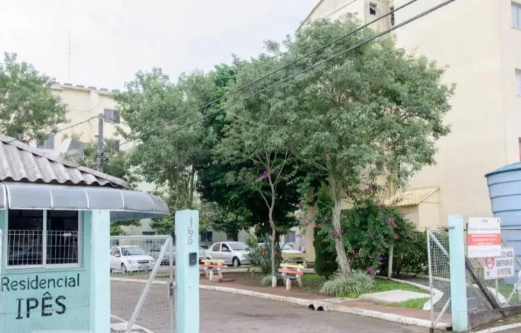 foto - Canoas - Mato Grande