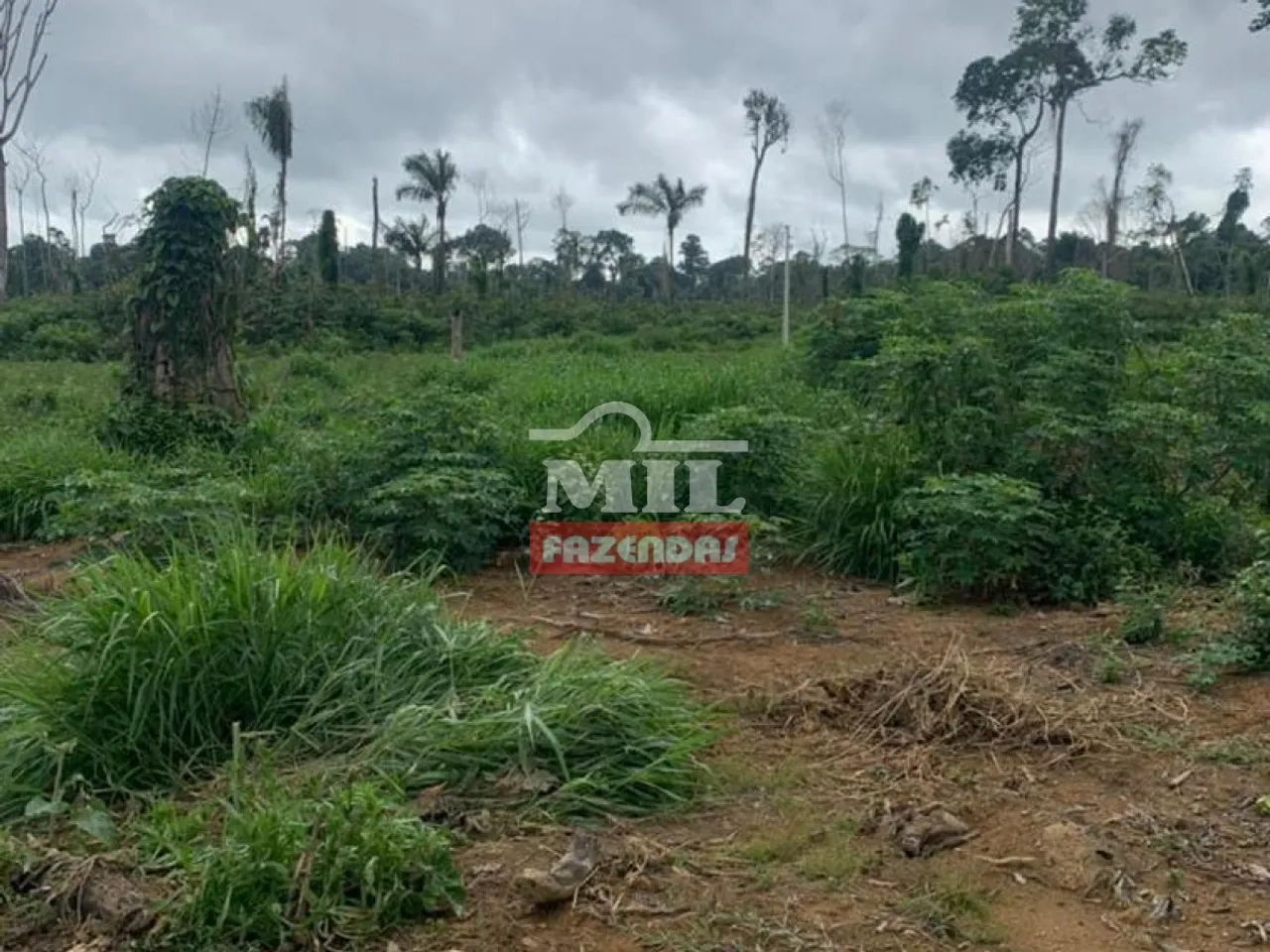 Fazenda Agricultável 875 Hectares - em Santarém - PA.