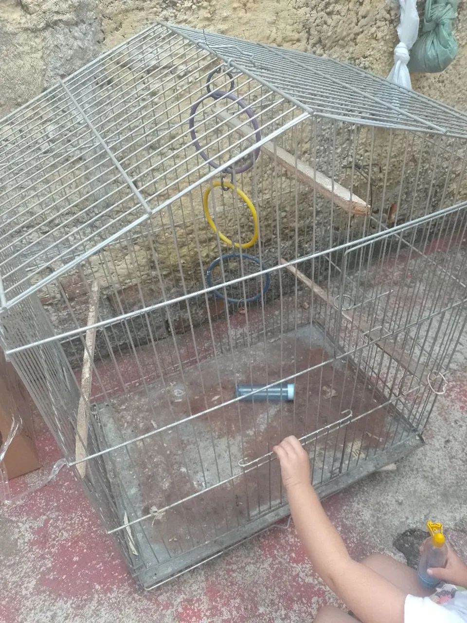 Gaiola para calopsita 