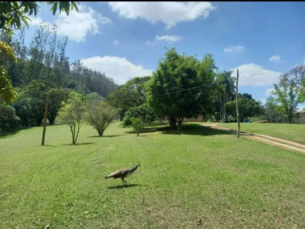 "Alumínio espera por você: invista em terrenos com grande potencial!"