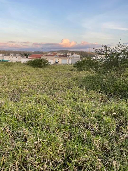 Lote 10x22 Loteamento Manoel Camelo - Garanhuns/PE - Foto 5