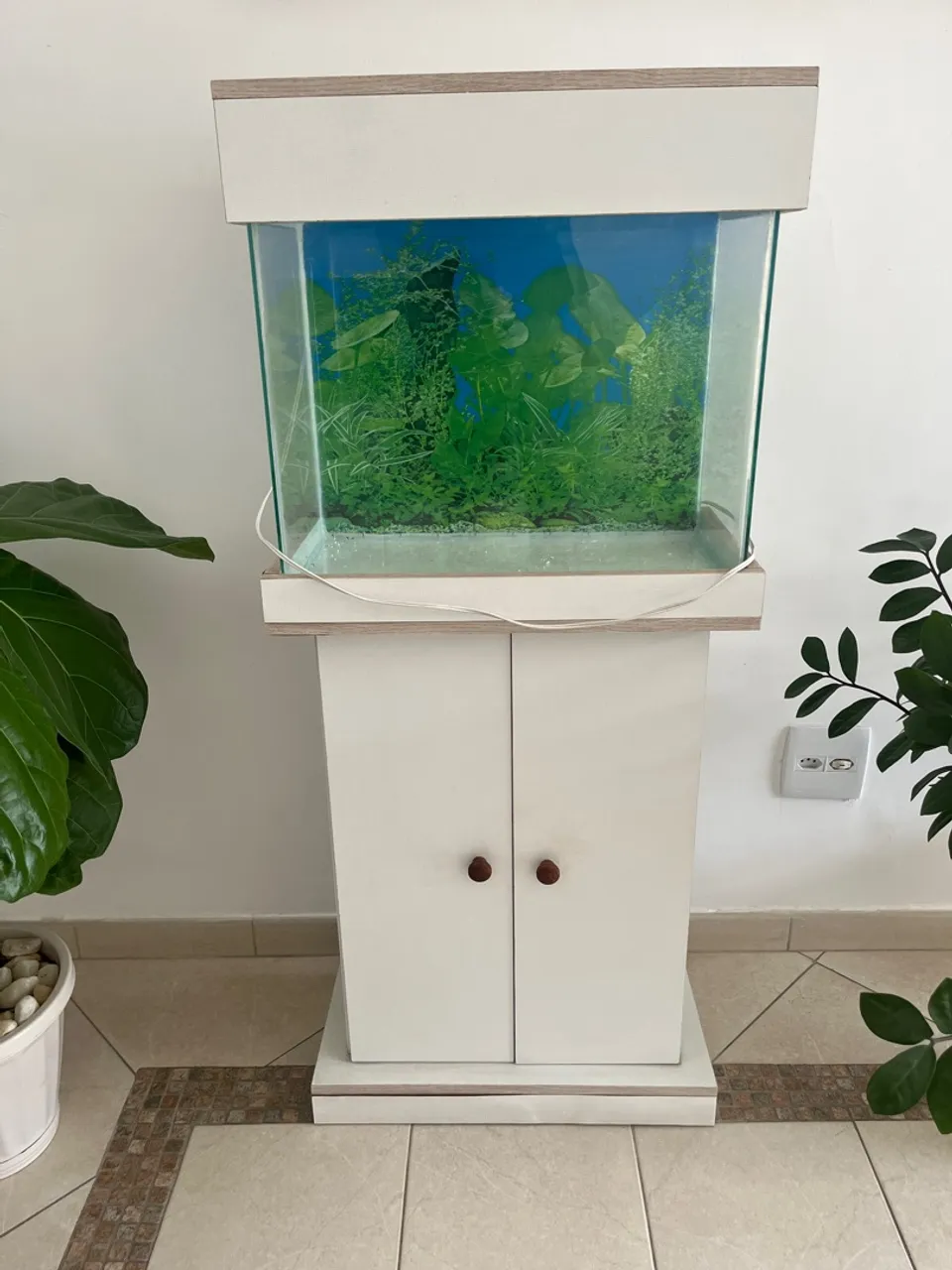 Aquário 50x40x15 com móvel