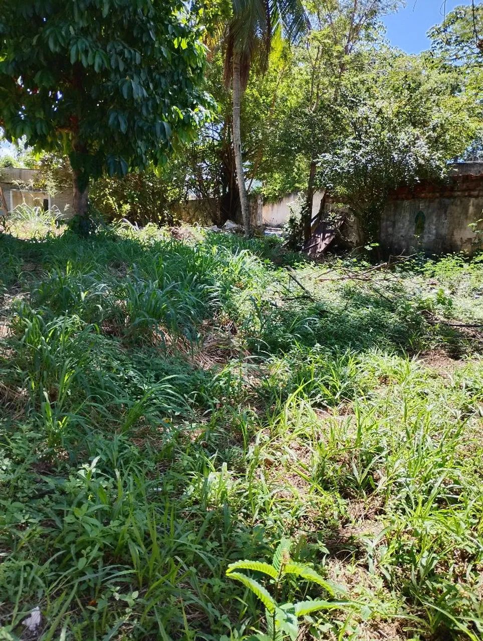 Vendo Terreno na Estrada do Côco  - Foto 12