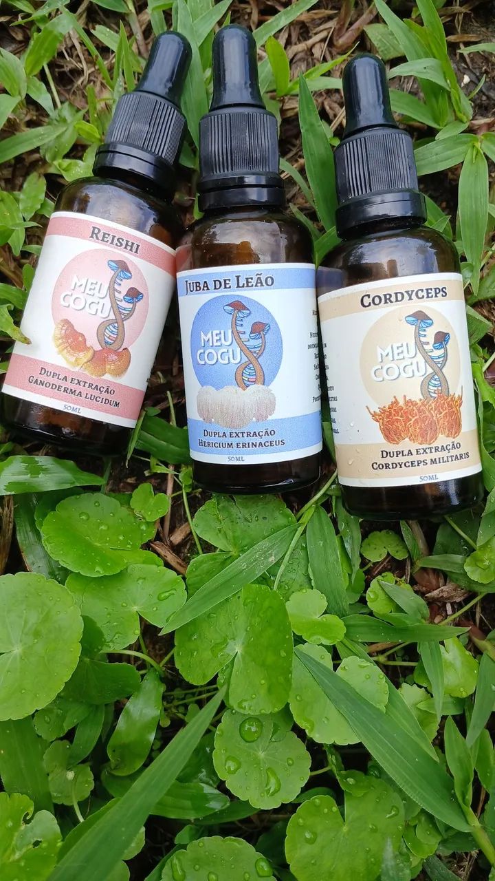 Duplo Extrato Cogumelo Juba de leão,  Cordyceps Militaris & Ganoderma Reishi