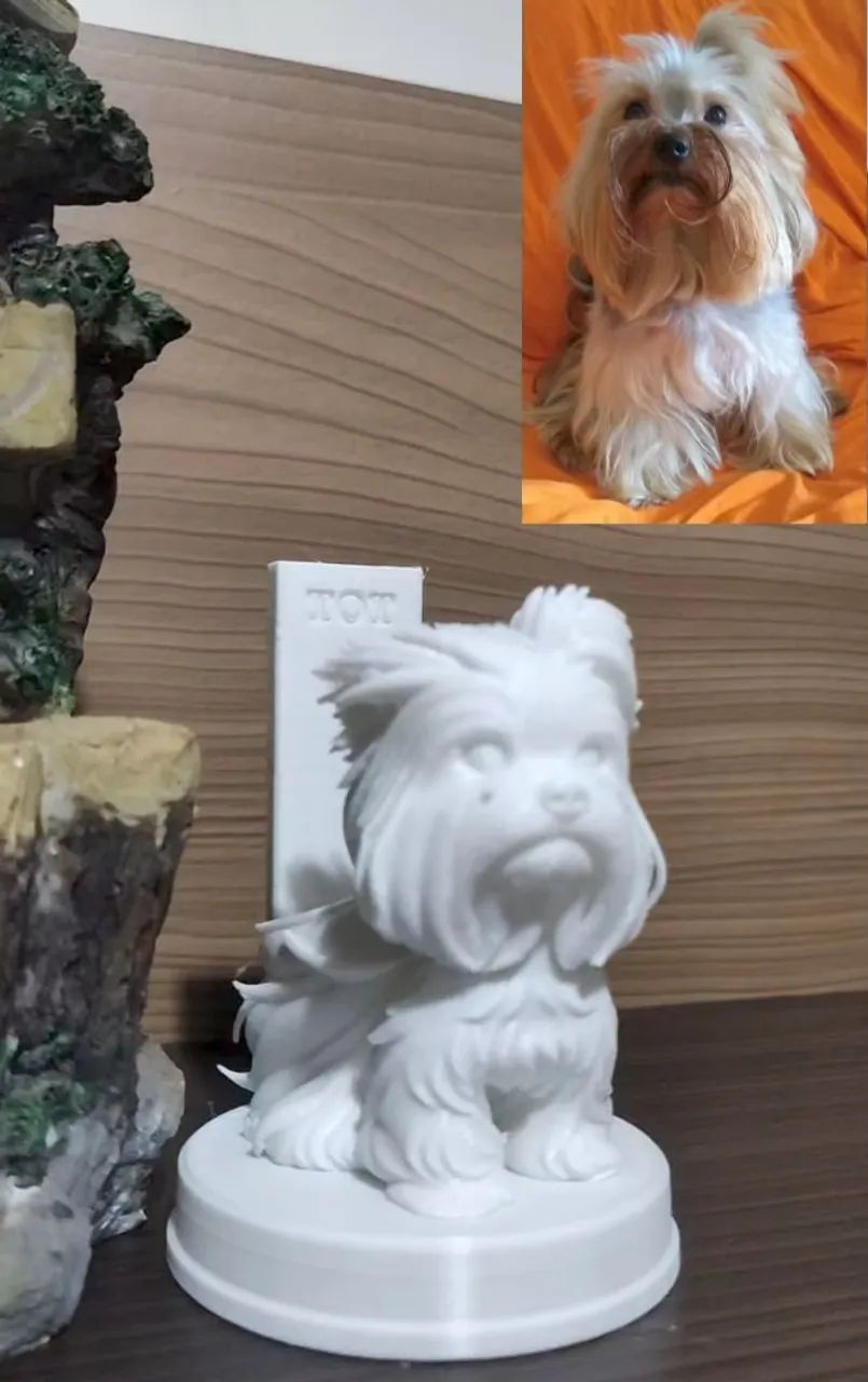 Pet Personalizado 3D