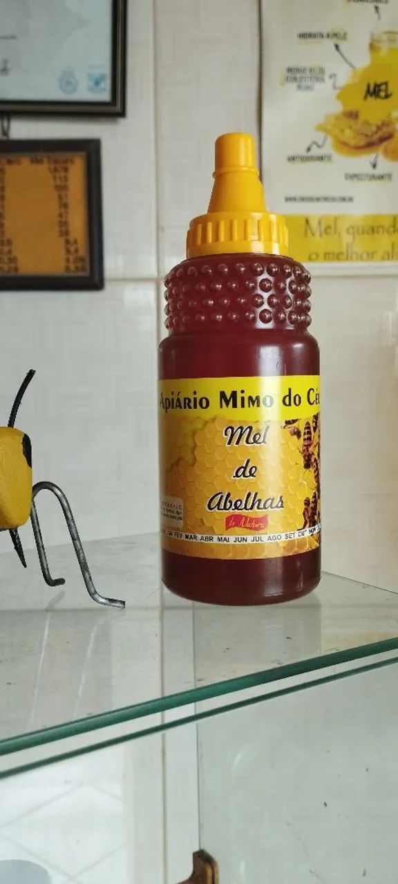 Mel de Abelhas Puro 500g - Apiário Mimo do céu 