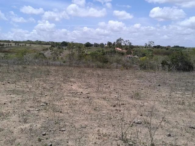 Gleba e terreno 55 hectares São Gonçalo do Amarante RN