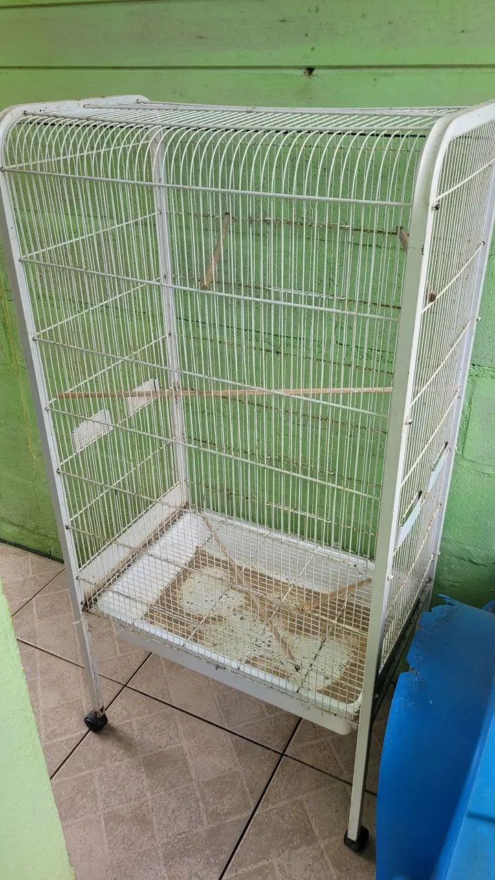 Cages / aviaries64313864423554121