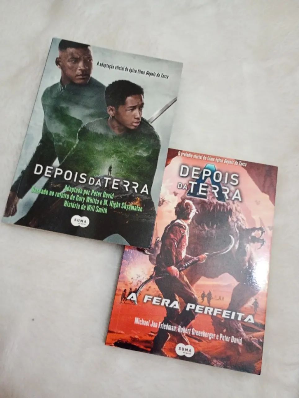 kit 2 livros Depois da Terra