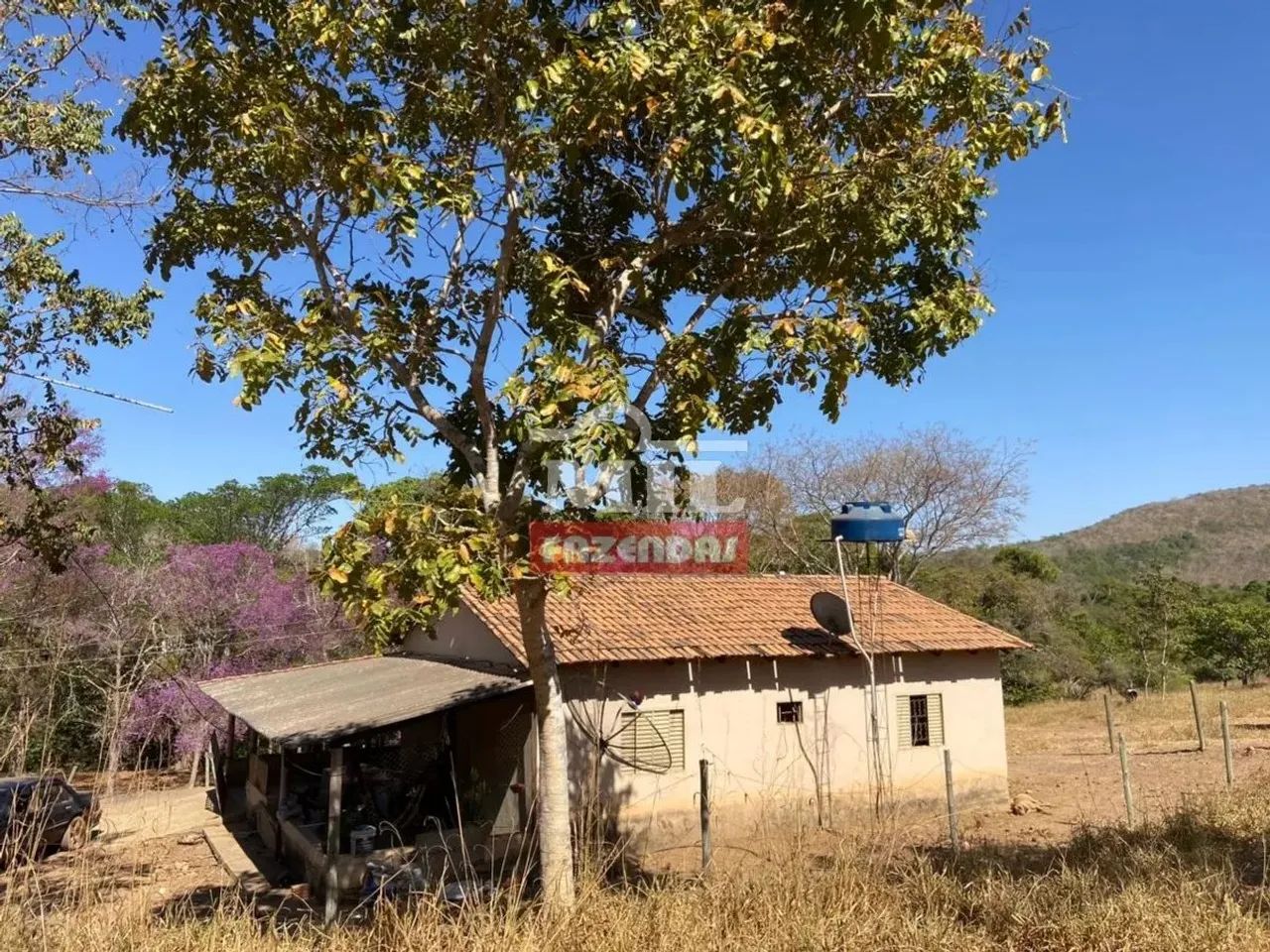 Fazenda 15 Alqueires (72,6 Hectares) Pirenopolis - GO - Foto 7