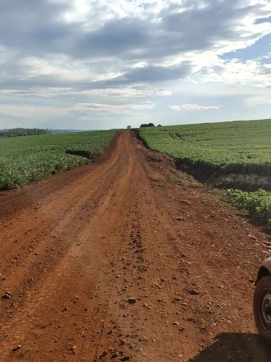 Sítio  de 39 alqueiro em Asai-Pr - Foto 3