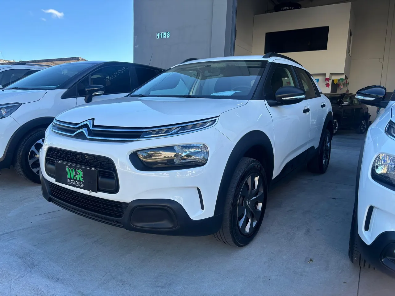 C-4 CACTUS 2022 ÚNICA DONA