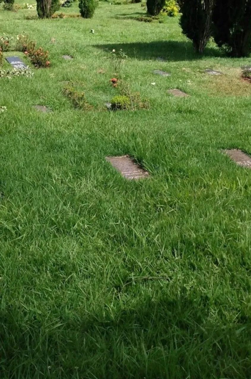 Vendo Jazigo no Cemitério  Parque da Colina em Niterói.   - Foto 4