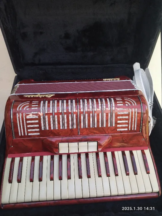 Acordeon L'Artigiana castelfidardo com case