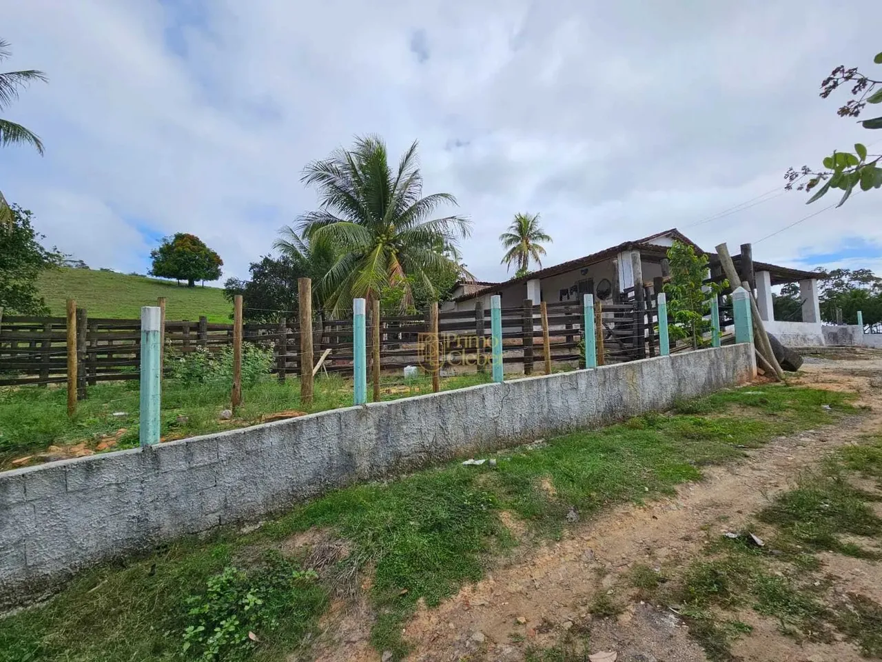 Sítio 4 Hectares Porteira Fechada à Venda em Flexeiras! Leia a Descrição!