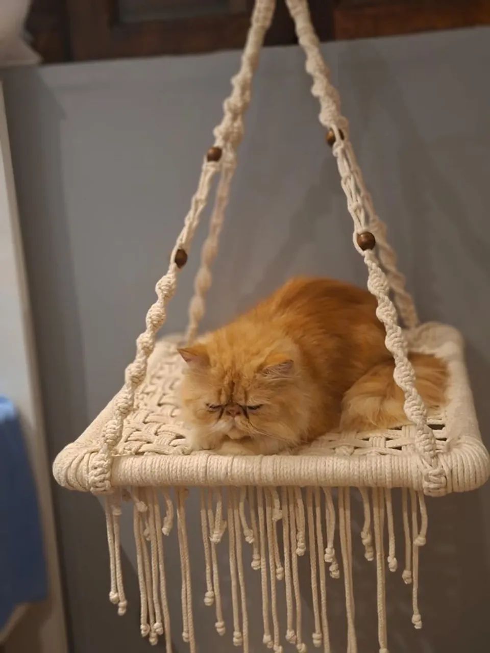 Cama de gato64319324793858121