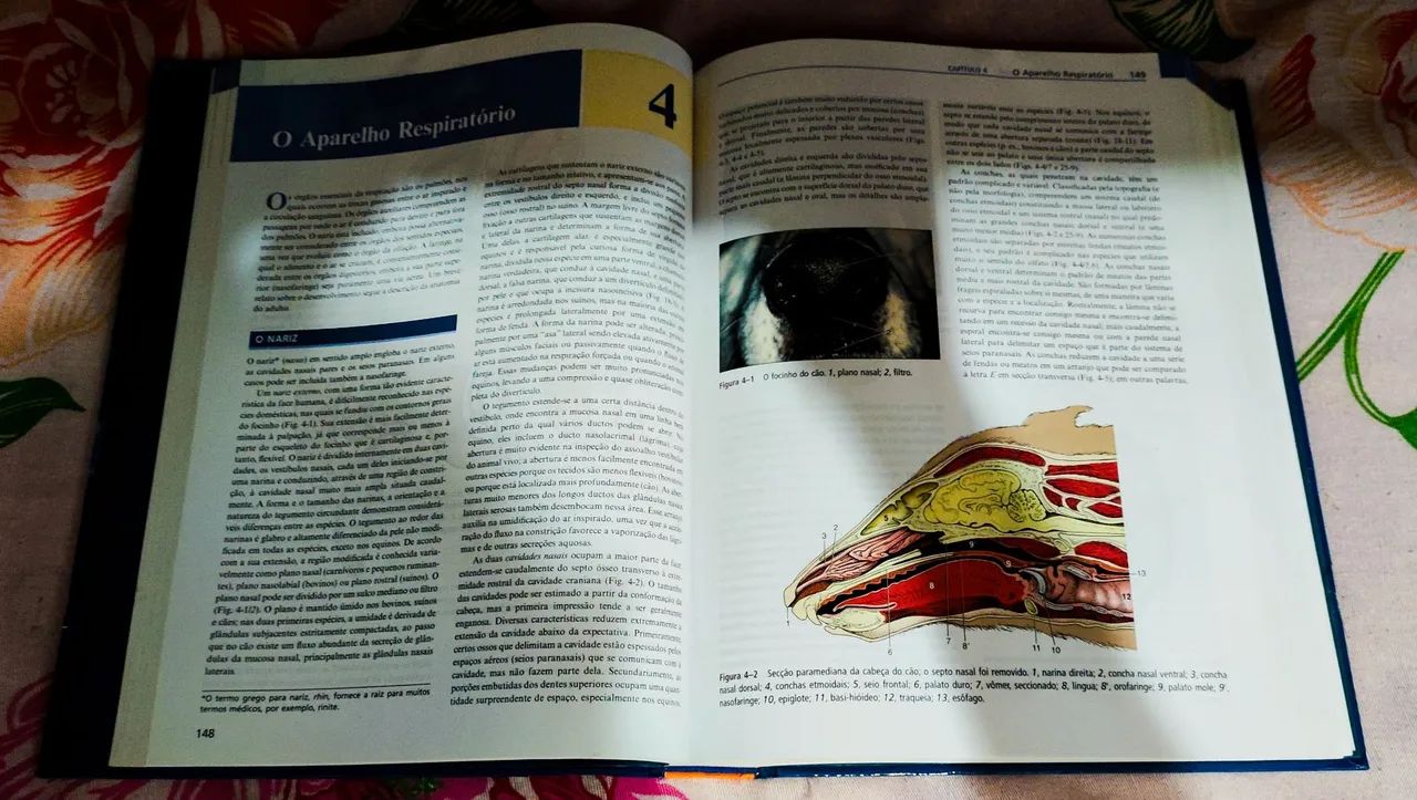 Livro Anatomia Veterinária  - Foto 5