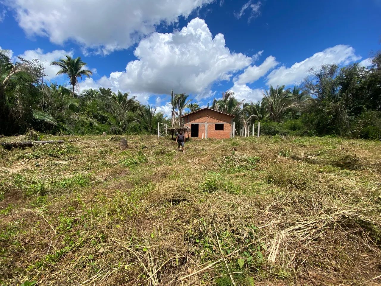 Propriedade a venda no povoado jacurutu - caxias ma - Foto 2