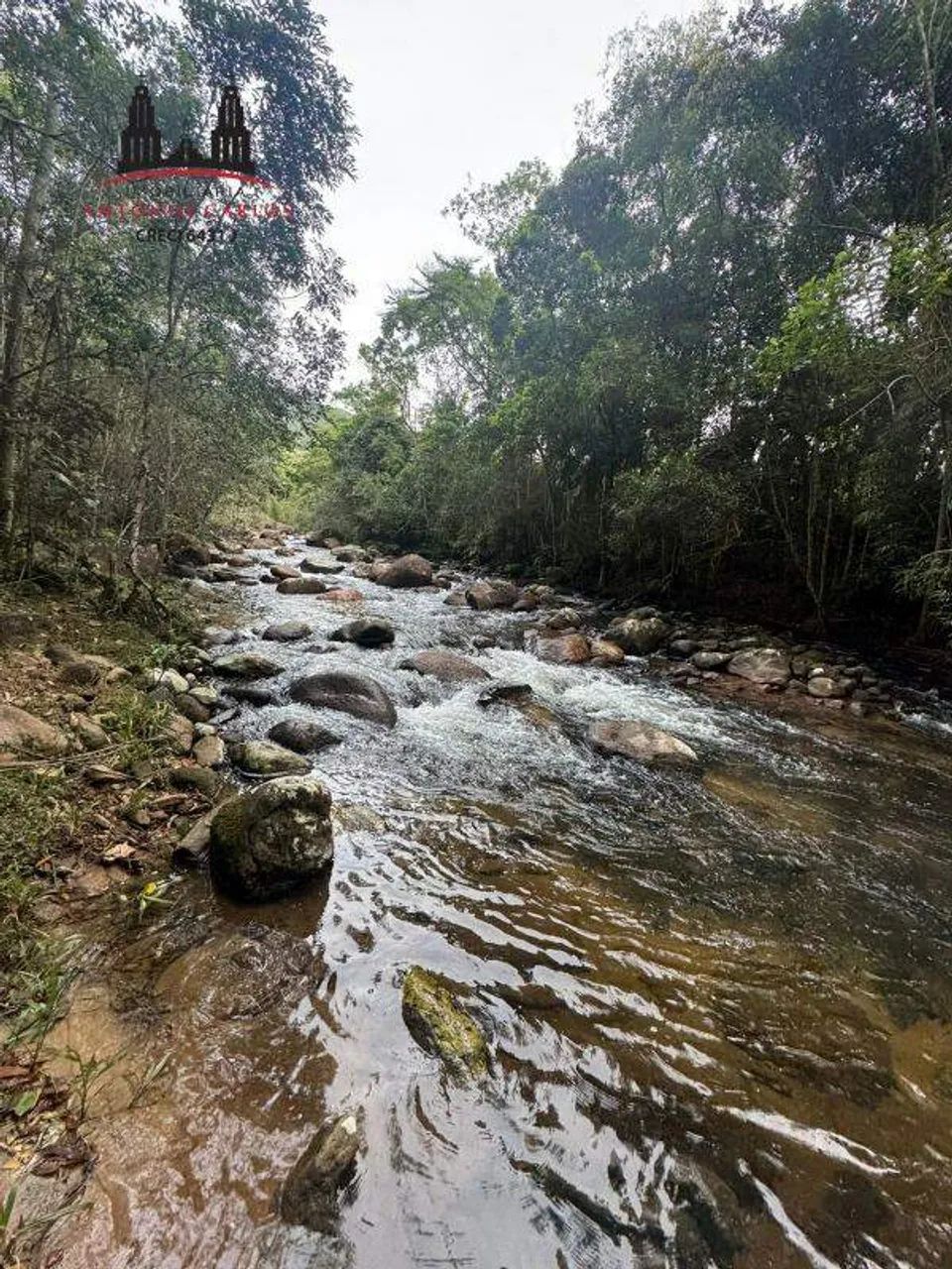 Sítio de 11 Hectares com Escritura Pública em Imaruí  SC - Foto 4