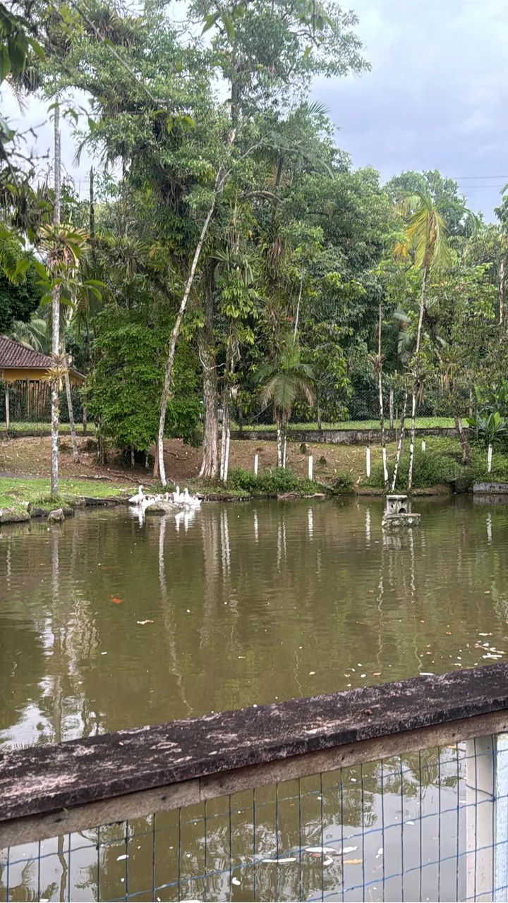 Chácara  em Morretes - Foto 9