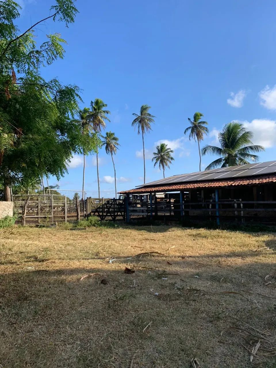 Fazenda com 30 hectares no vale de Ceará mirim