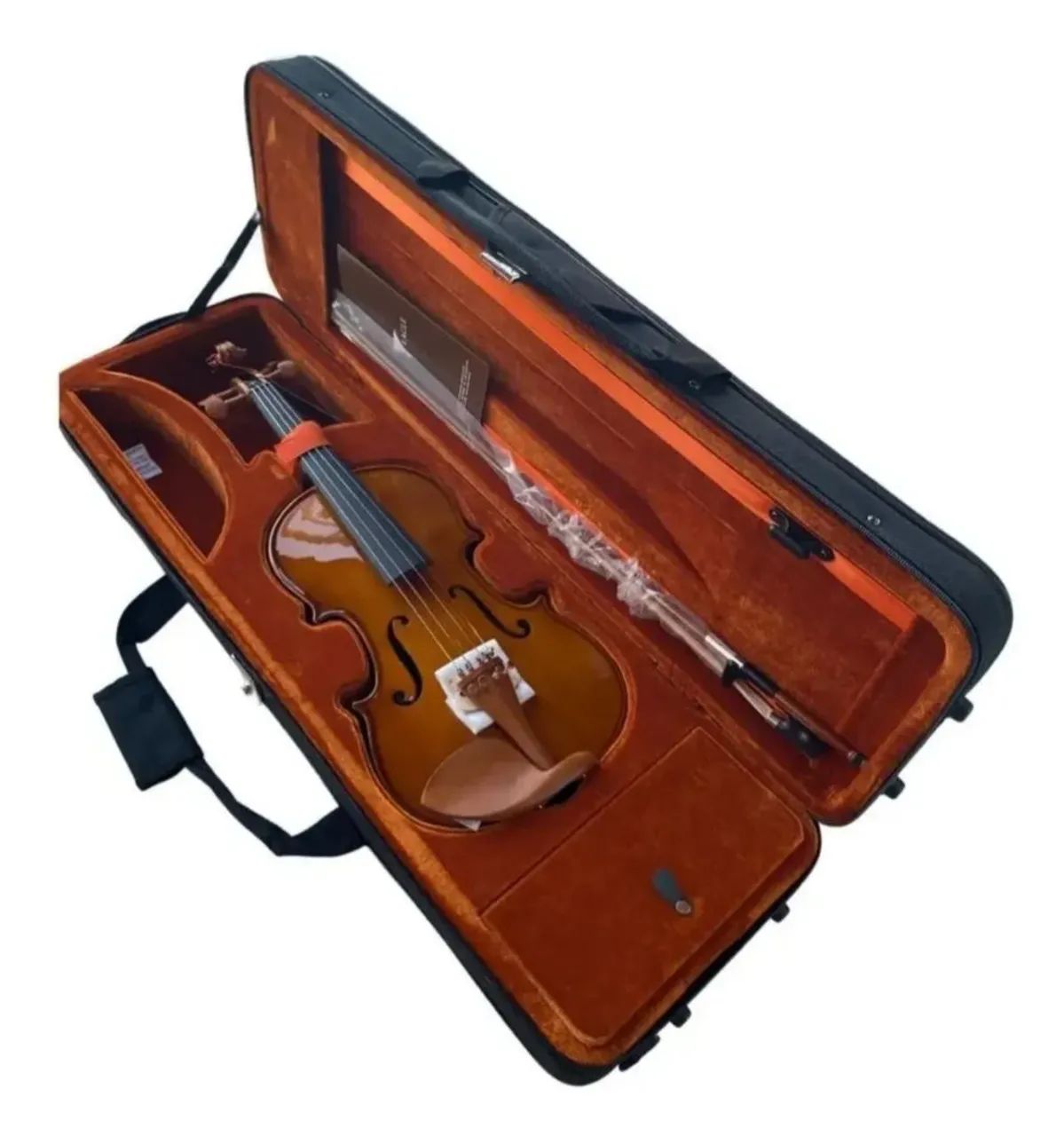 Violino 