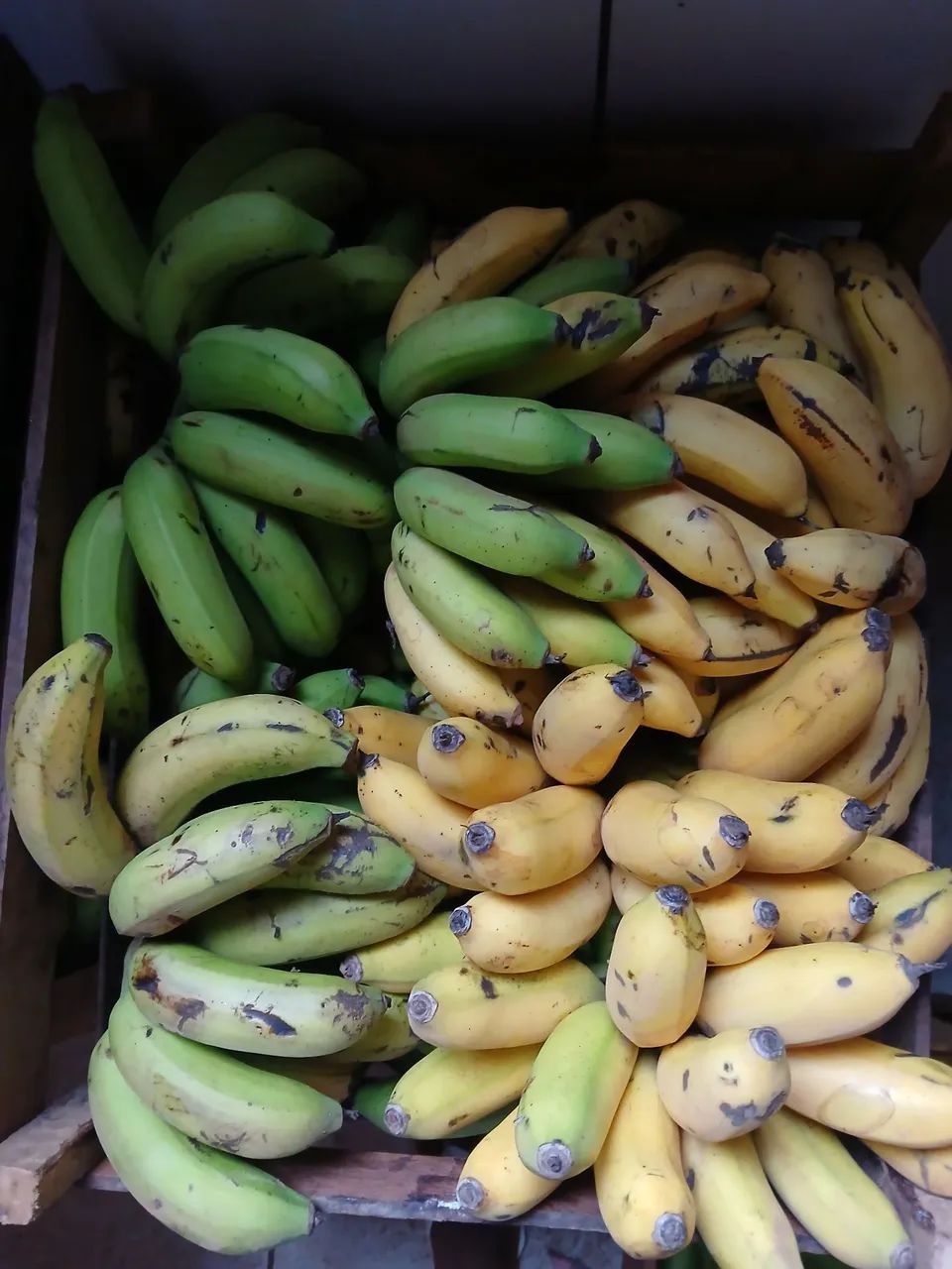 Bananas ? 