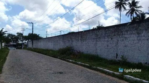 Terreno com 2.030 m² às margens da BR 101 em Igarassu - PE - Foto 5