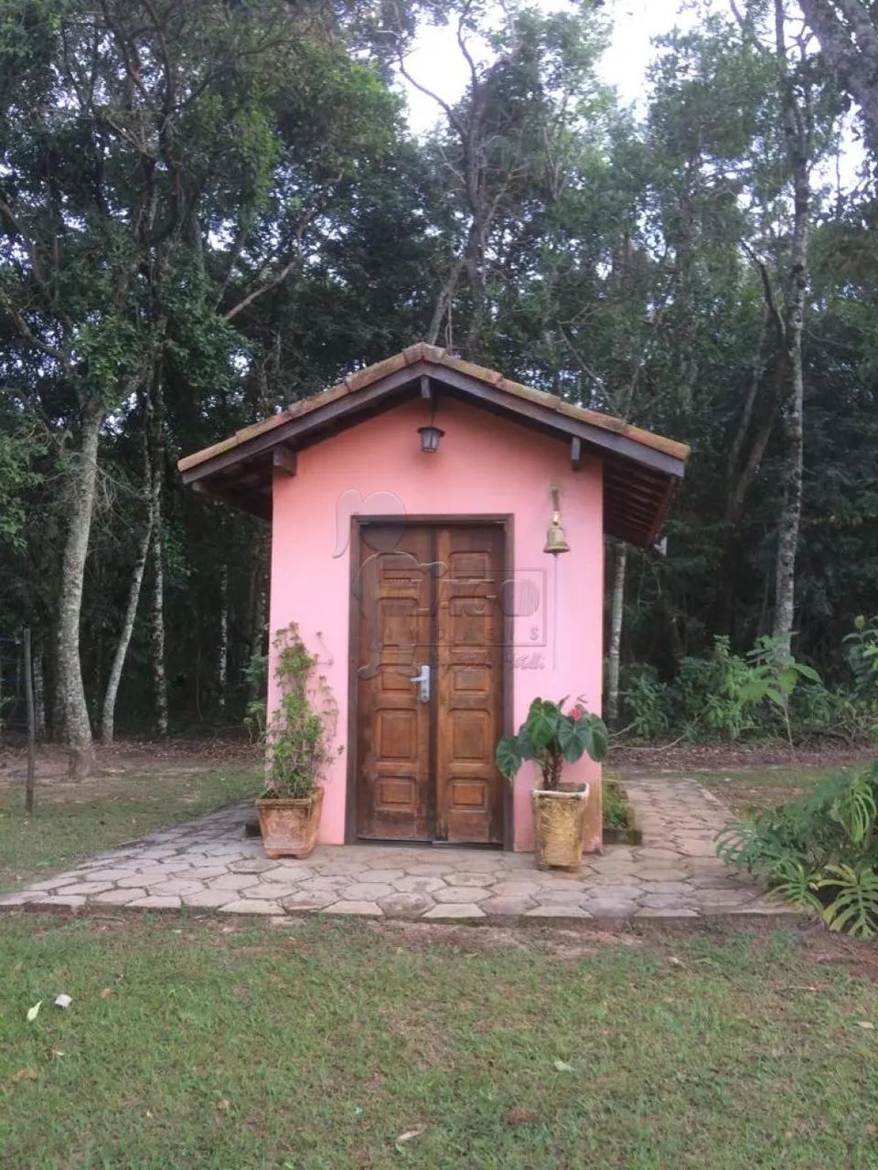 SÍTIO EM CÁSSIA DOS COQUEIROS - Foto 5
