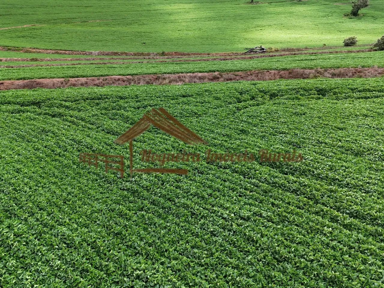 Fazenda com 100 alqueires em Avaré-SP - Foto 2
