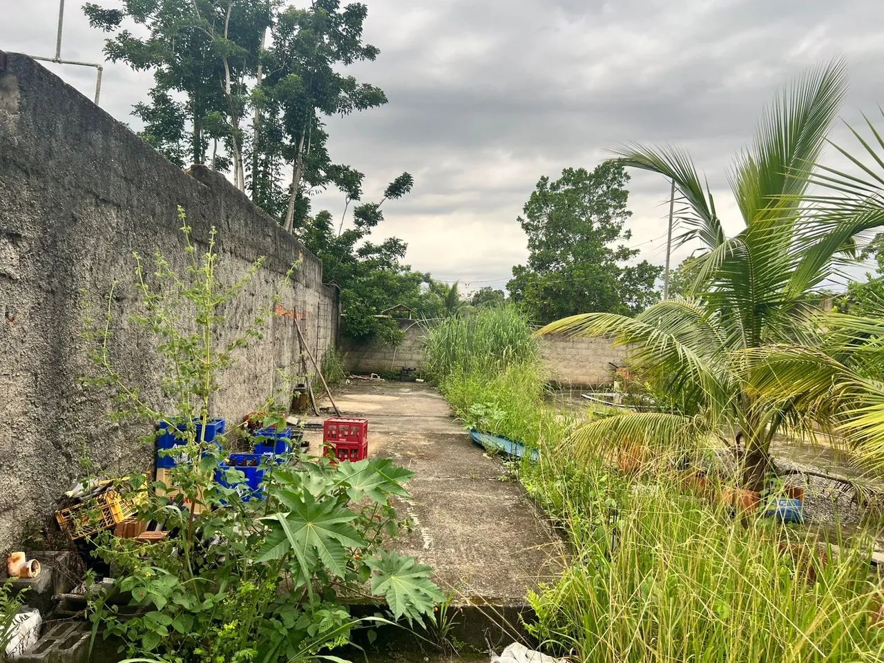 Terreno Tinguá  - Foto 5