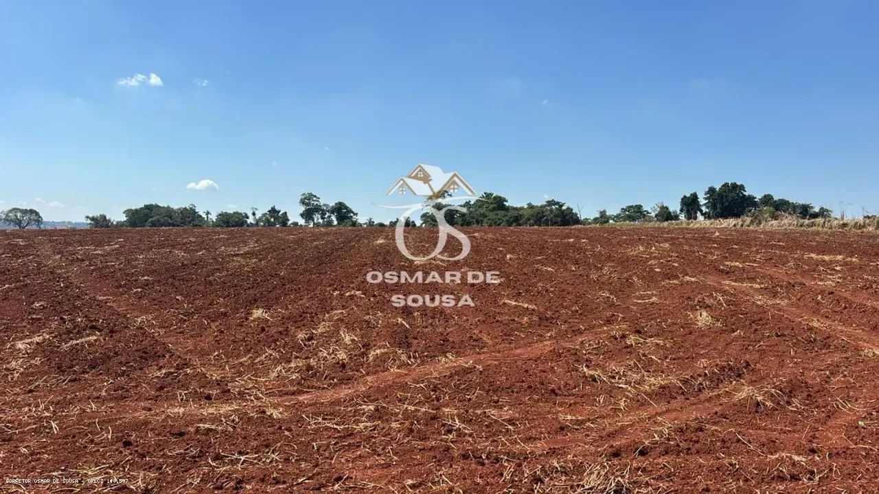 Sítio de 10 Alqueires em Quadra - SP - Foto 3
