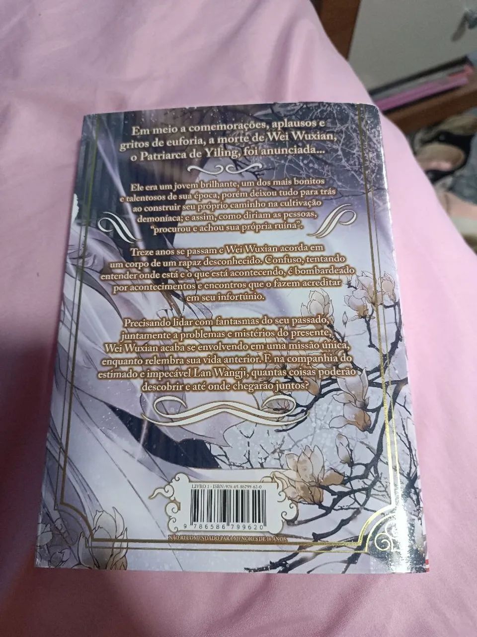 Livro Mo dao Zu shi  - Foto 2