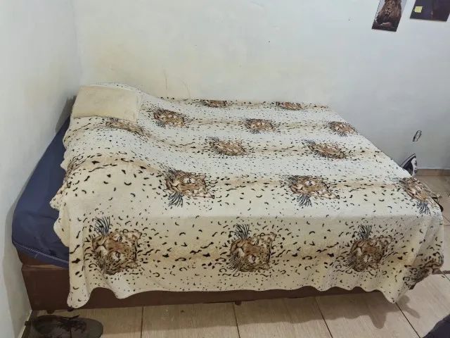 Cama