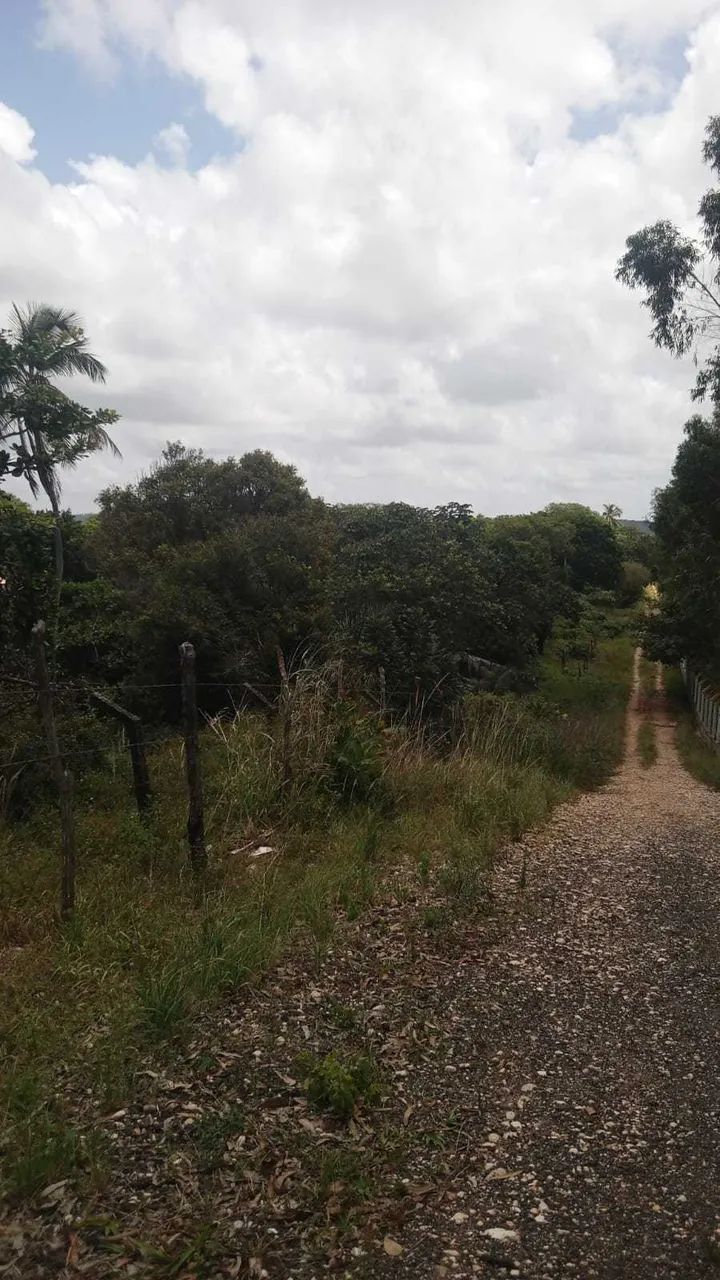 TERRENO NO POVOADO SÃO JOSÉ [60374] - Foto 2