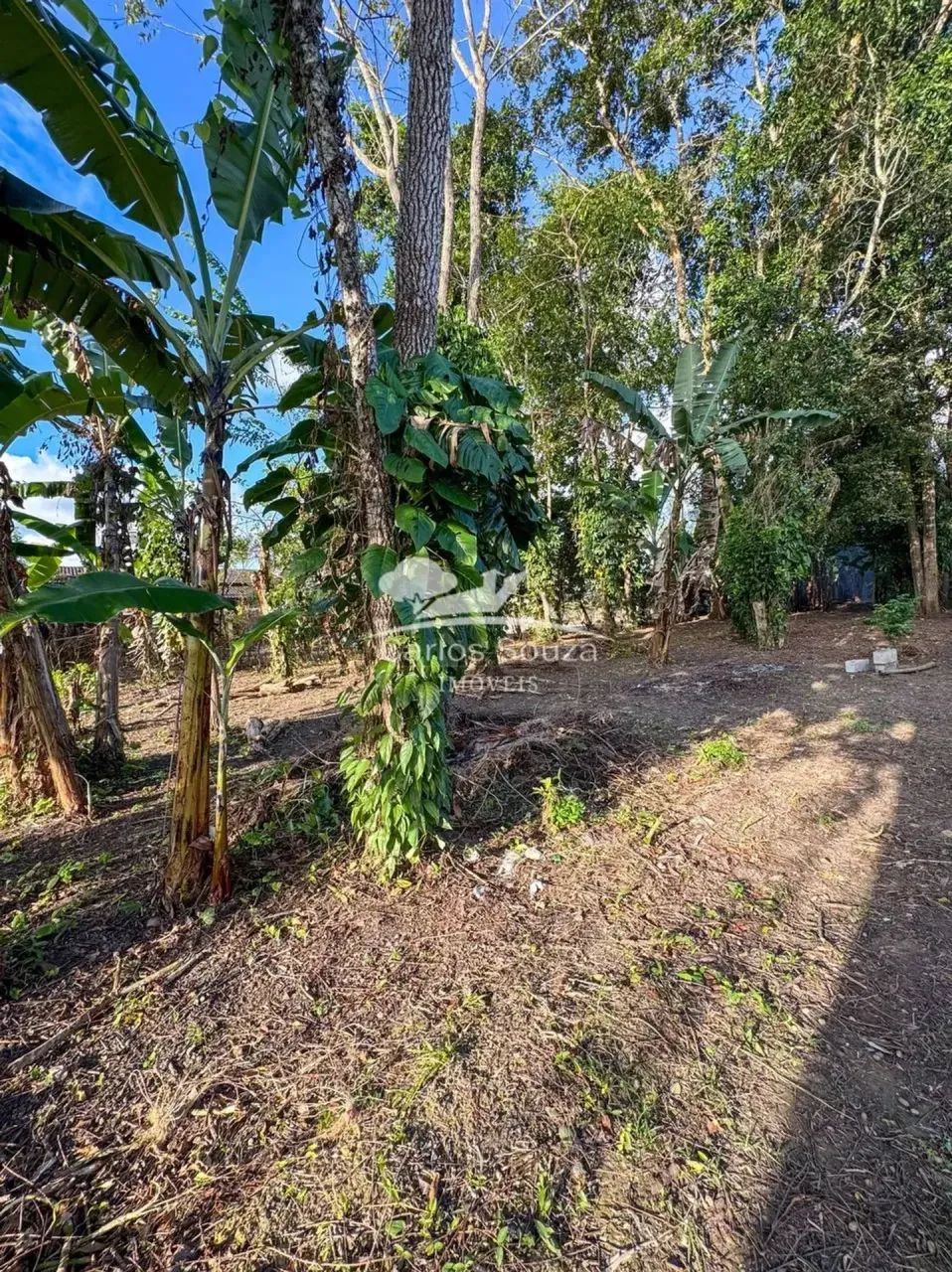 TERRENO FORA DE CONDOMÍNIO CÓD.369 - Foto 5
