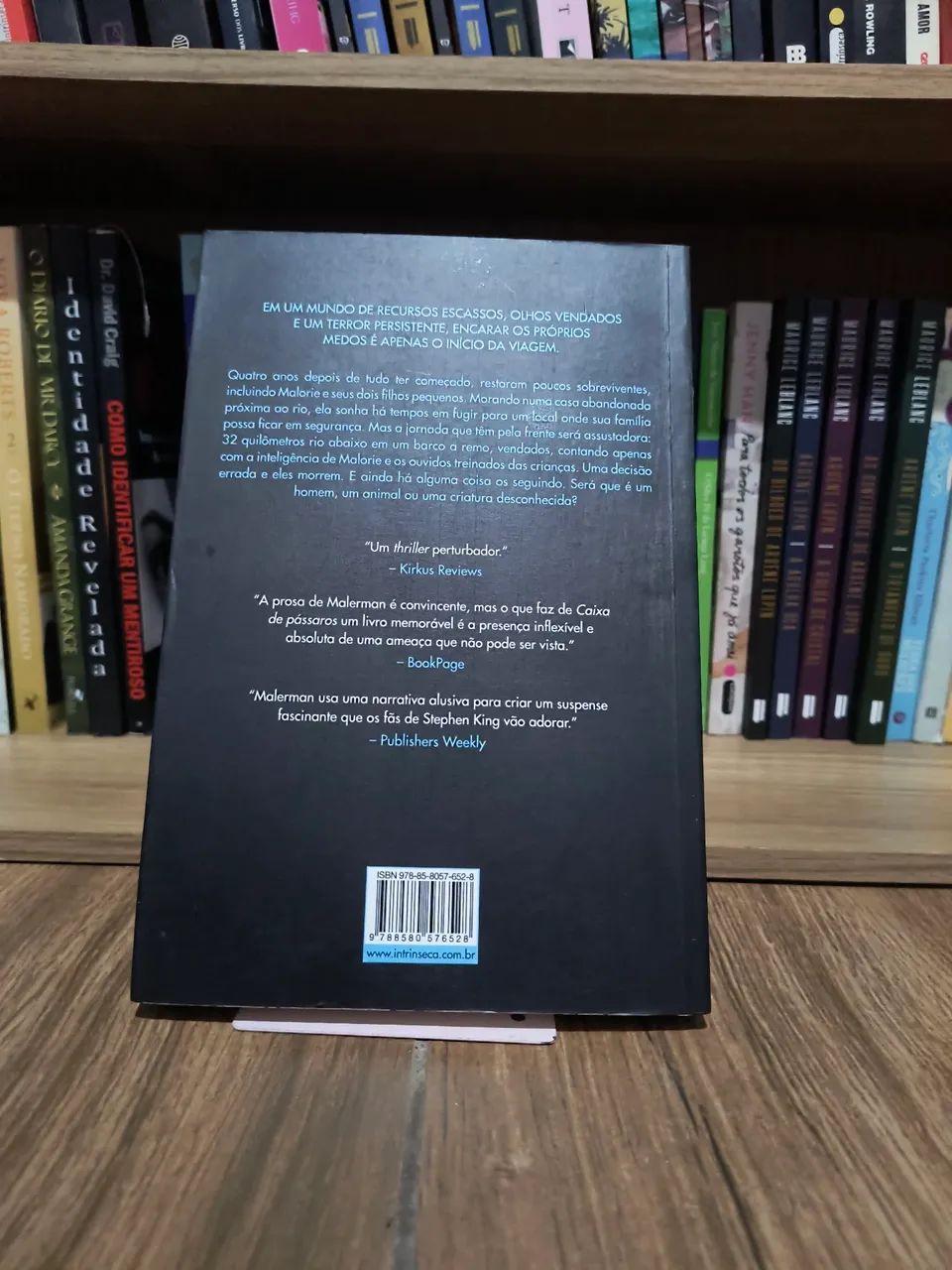 Caixa de pássaros - Josh malerman - Foto 2