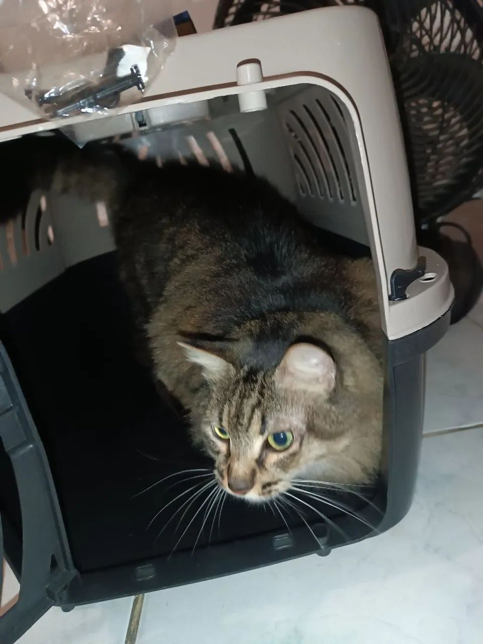 Caixa de transporte pet - Foto 4