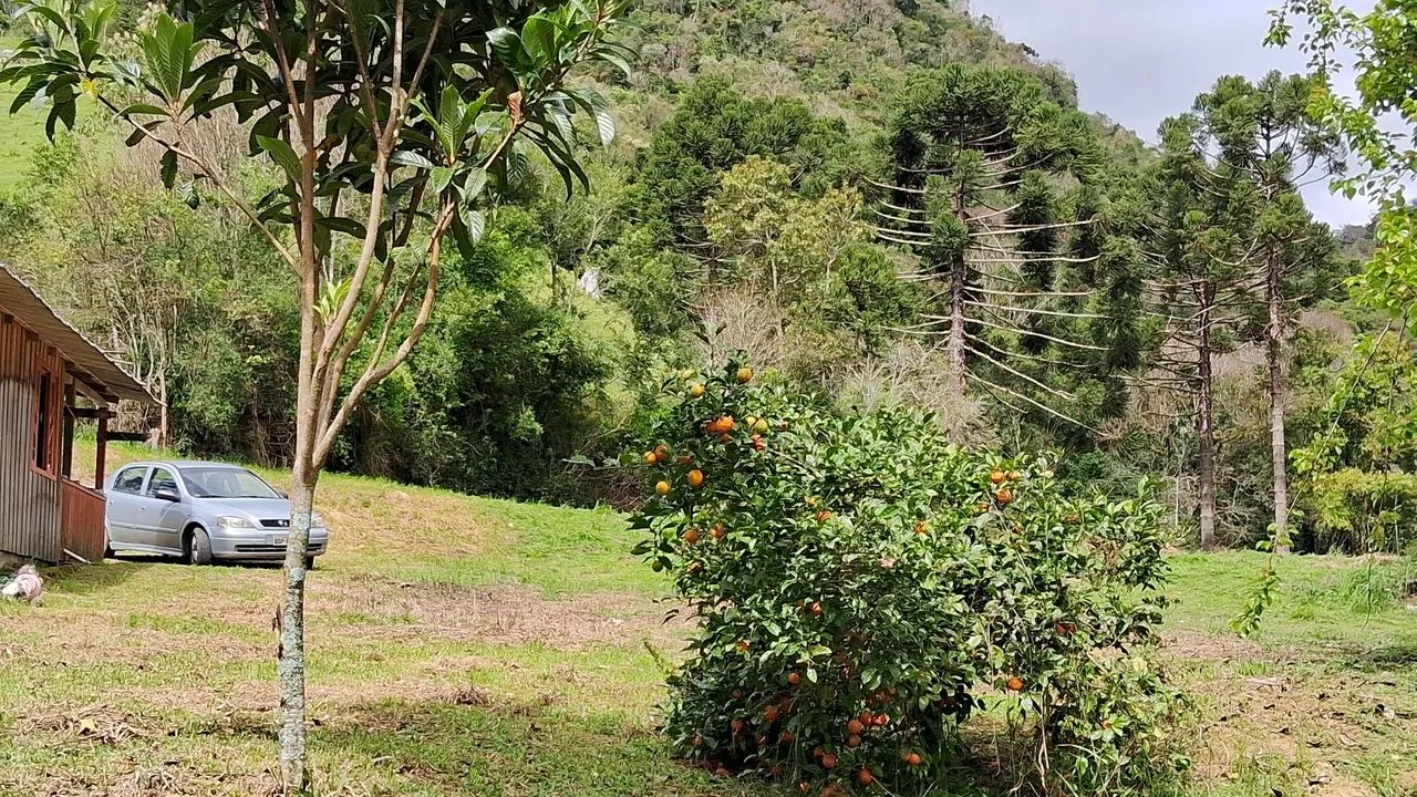 Chácara com riacho Alfredo Wagner -SC - Foto 4