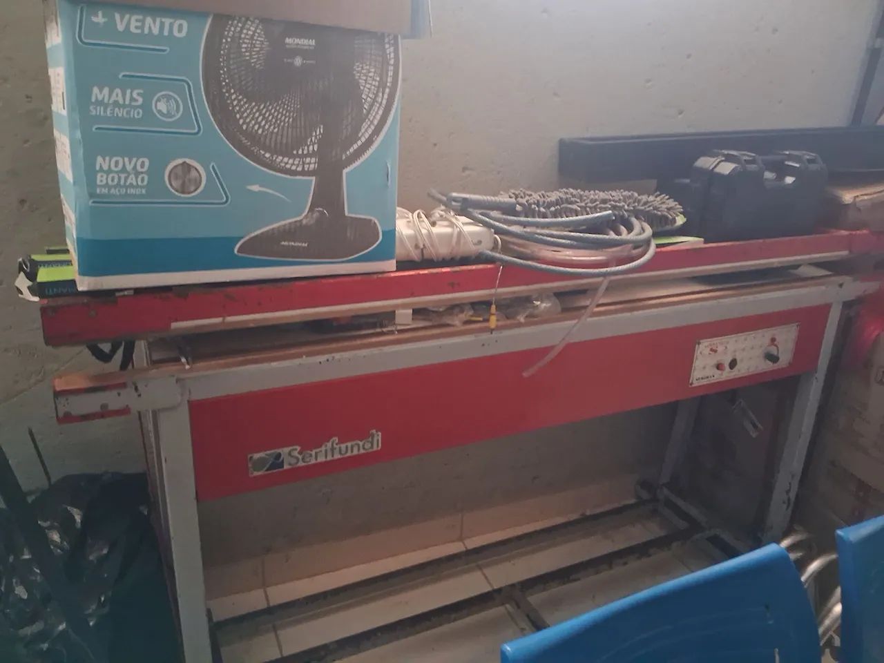 Seladora serifundi - Foto 2